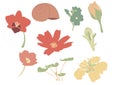 Nature stickers in pastel colours. Set.